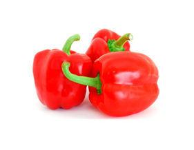 Capsicum