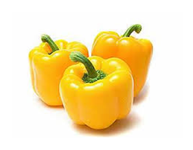 Capsicum