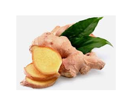 Ginger