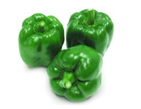 Capsicum
