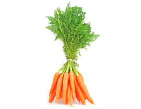 Carrot